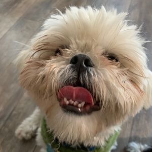 Meet your Posher, Nathan